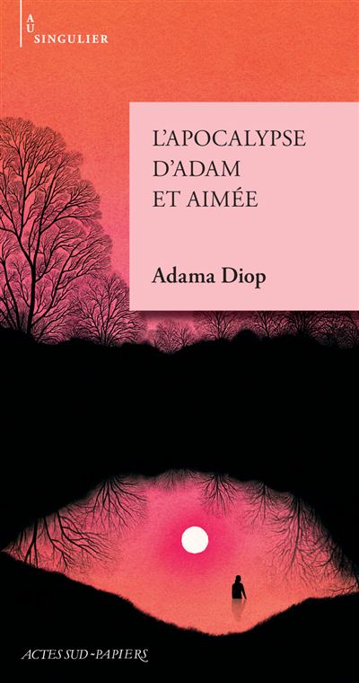 L'Apocalypse d'Adam et Aimée - Adama Diop (2026)
