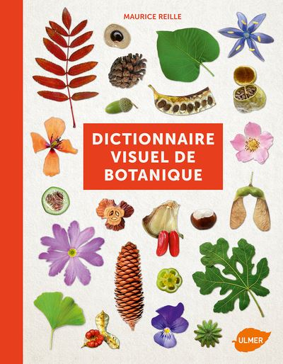 Dictionnaire visuel de botanique - Maurice Reille - Eugen Ul