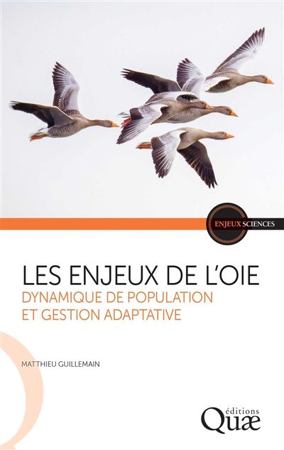 Les enjeux de l'oie : Dynamique de population et gestion adaptative - Matthieu Guillemain (2025)