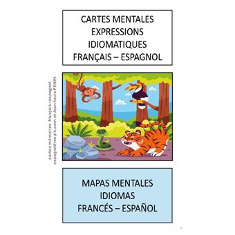 Cartes mentales expressions idiomatiques français espagnol