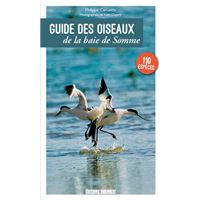 Guide Des Oiseaux De La Baie De Somme
