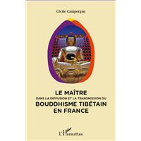 Maitre dans la diffusion et la transmission du bouddhisme tibétain en France