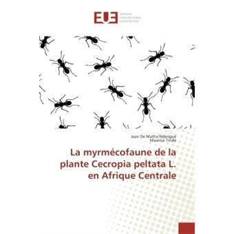 La myrmécofaune de la plante Cecropia peltata L. en Afrique Centrale - 1