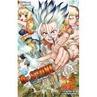 Dr. Stone - Tome 12