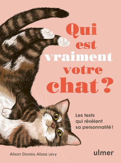 Album photos chat, tête chat humour, boutique objet chat