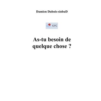 As-tu besoin de quelque chose ?