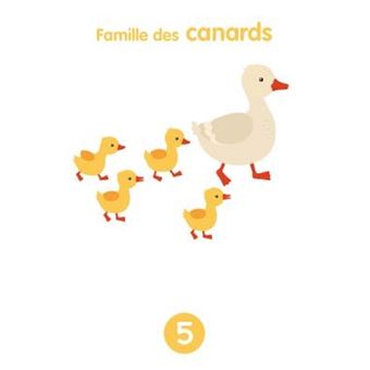 Mes premiers jeux de Chiffres - Coffret