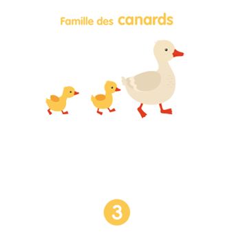Mes premiers jeux de Chiffres - Coffret