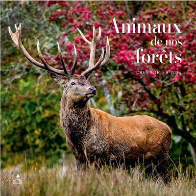 Calendrier animaux de nos forets 2024