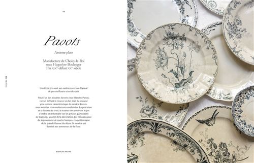 Terre de fer - relié - Blanche Patine, Livre tous les livres à la Fnac