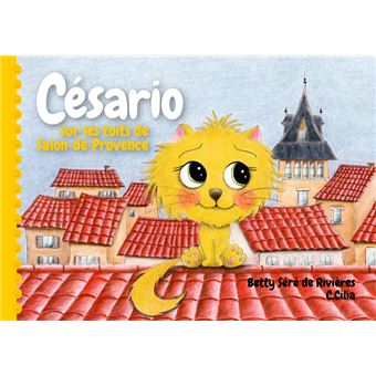 Césario sur les toits de Salon-de-Provence - 1