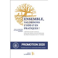 Ensemble, valorisons l'ODD 17 en pratiques !