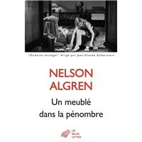 Un meublé dans la pénombre
