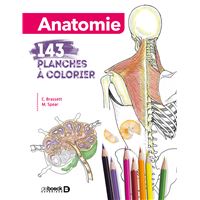 Anatomie 143 planches à colorier