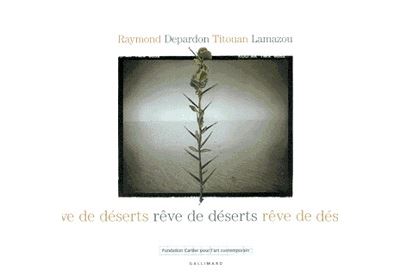 Rêve de déserts