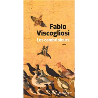 couverture de : Les cambrioleurs
