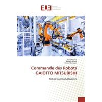 Commande des Robots GAIOTTO MITSUBISHI
