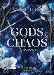 Gods & Chaos T01