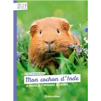 Mon cochon d'Inde