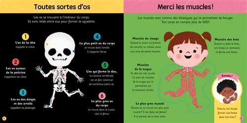 Je Découvre Le Corps Humain – Maquette à Monter + Organes Phosphorescents + Poster Géant – Jeu éducatif Dès 7 Ans