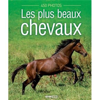 Plus beaux chevaux 450 photos (les)* - 1