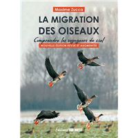 La Migration Des Oiseaux - Comprendre Les Voyageur