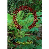 Músicas Do Folclore Brasileiro