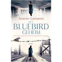 Het Bluebirdgeheim
