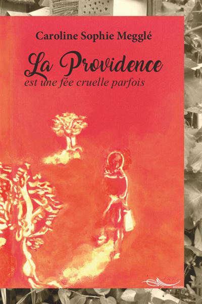 La Providence est une fée cruelle parfois - Caroline Megglé - broché