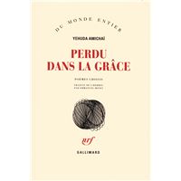 Perdu dans la grâce