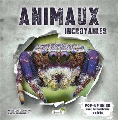 Animaux incroyables - Angel Luis Léon Panal - Grenouille - cartonné - Document jeunesse