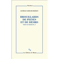 Brouillards de peines et de désirs. Faits d'affects, 1