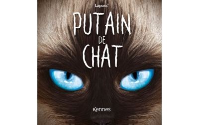 Putain de chat - Tome 10