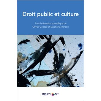 Droit public et culture - 1