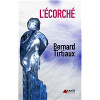 AVEC LES FÉES Broché – Grand livre, 10 janvier 2024 Sylvain Tesson