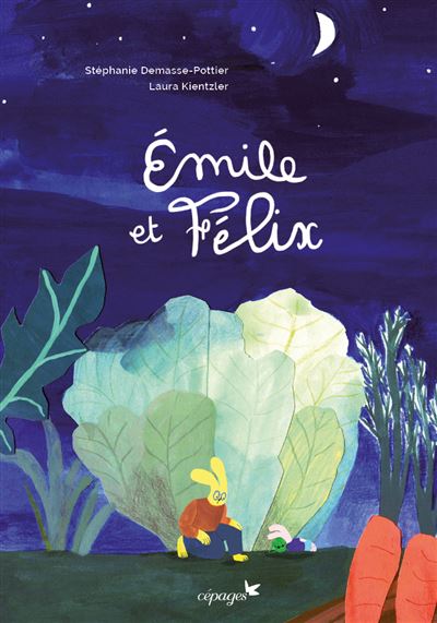 Emile et Félix - Stéphanie Demasse-Pottier - cartonné