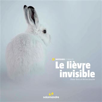 Le lièvre invisible - 1