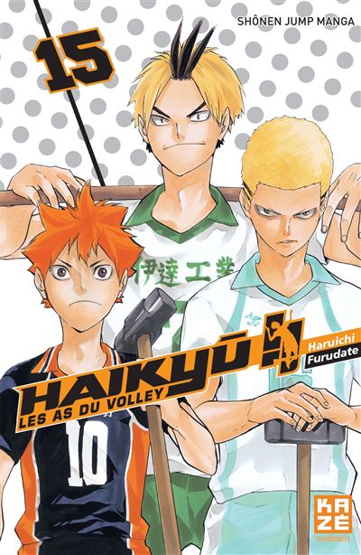 Vol.15 Haikyu !! - Les as du volley ball (Le briseur)