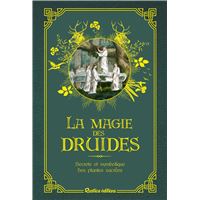 La magie des druides