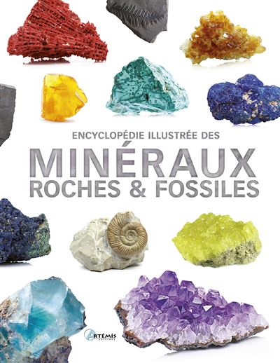 Encyclopédie illustrée des minéraux, roches et fossiles - Carmen Martul Hernández - relié