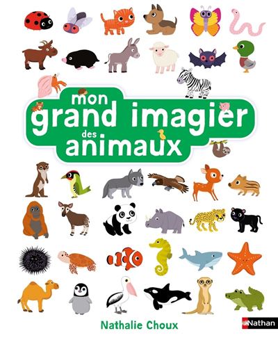 Nathan Mon Grand Imagier Des Animaux