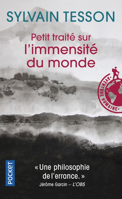 Petit traité sur l'immensité du monde - Sylvain Tesson - Pocket - Poche - Roman