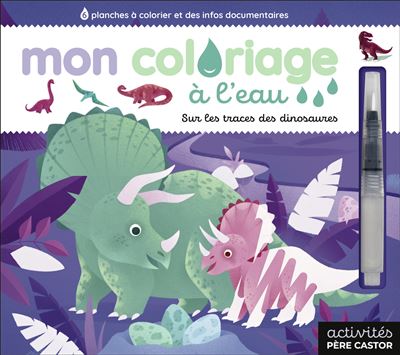 Mon coloriage à l'eau - Sur les traces des dinosaures - Lili La Baleine - Flammarion Jeunesse Pere Castor - cartonné - Document jeunesse