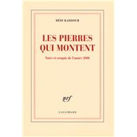 Les pierres qui montent