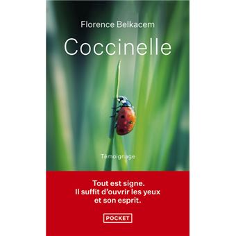 Coccinelle - 1