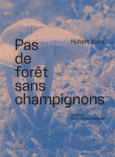 Pas de forêt sans champignons - Image 2