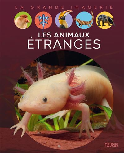 Les animaux etranges