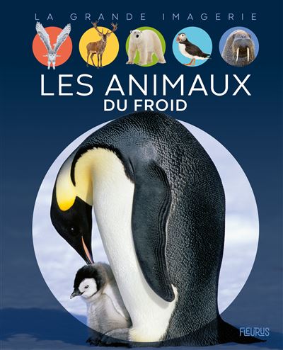 LES ANIMAUX DU FROID - Raphaëlle Chauvelot - Gebundene Ausgabe