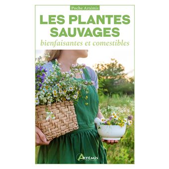 Plantes sauvages bienfaisantes et comestibles