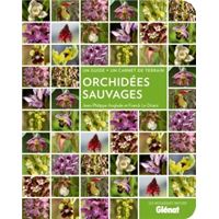 Orchidées sauvages